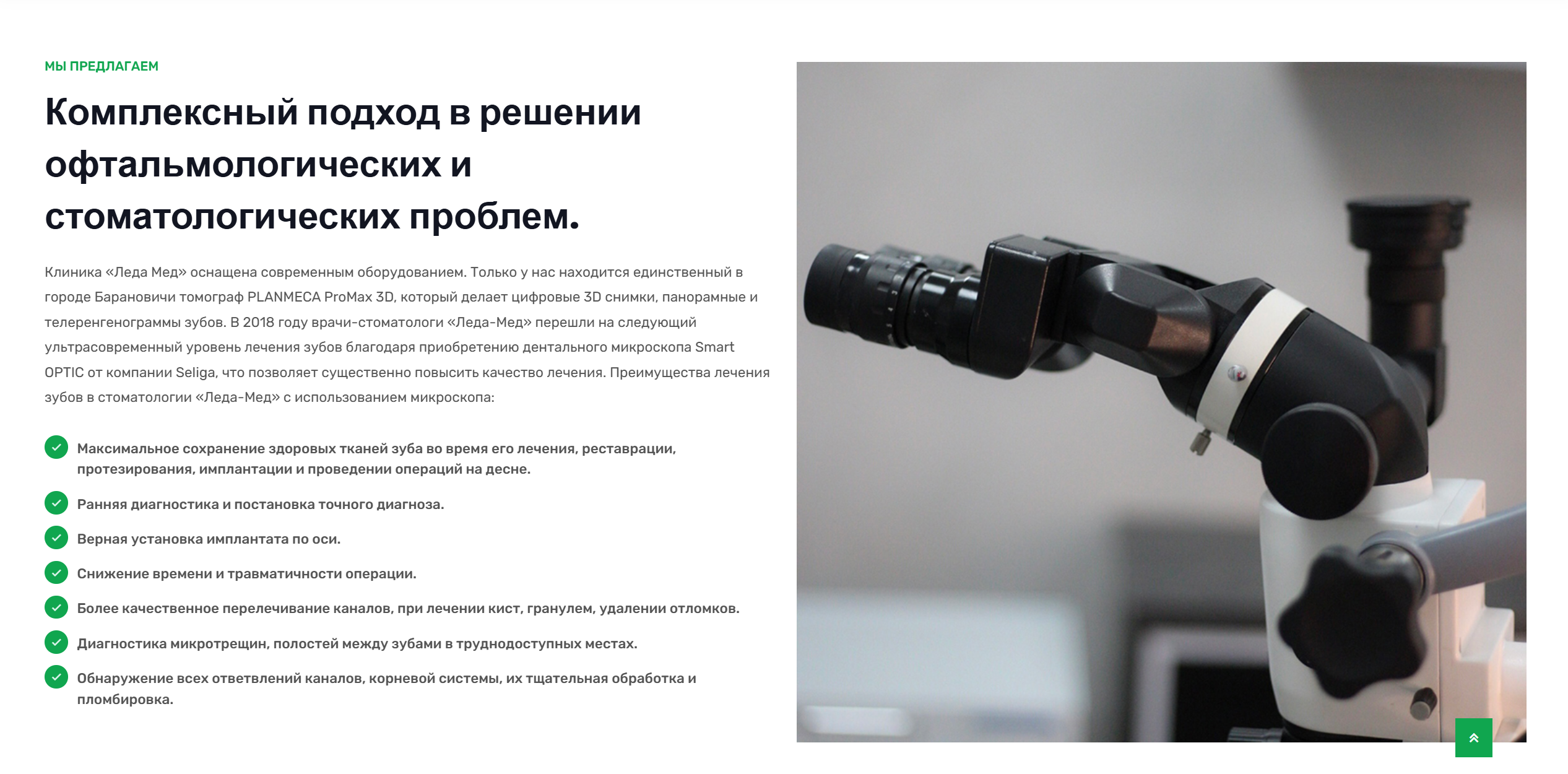 Ledamed — скриншот проекта